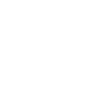 hoopfest